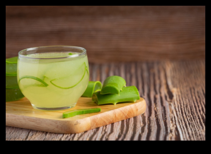 Galīgais Aloe Vera dzērienu ceļvedis, padomi un ieteikumi veselīgam mirdzumam 4 Galīgais Aloe Vera dzērienu ceļvedis: labsajūtas padomi un ieteikumi
