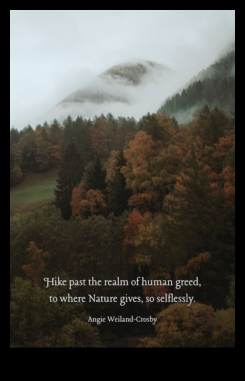 Dvēseliskas ainavas Ceļojums pa cilvēka gara ainavu 5 Dvēseliskas ainavas: ainavas, kas tieši runā par emocijām