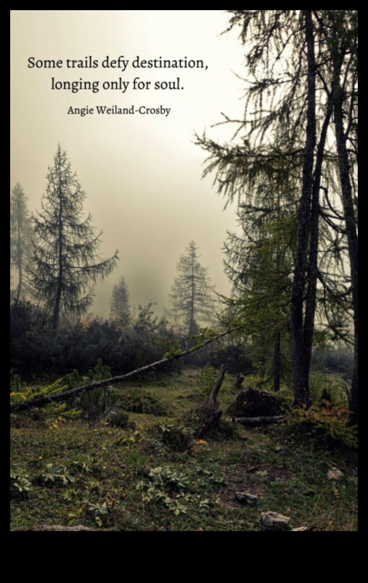 Dvēseliskas ainavas Ceļojums pa cilvēka gara ainavu 4 Dvēseliskas ainavas: ainavas, kas tieši runā par emocijām