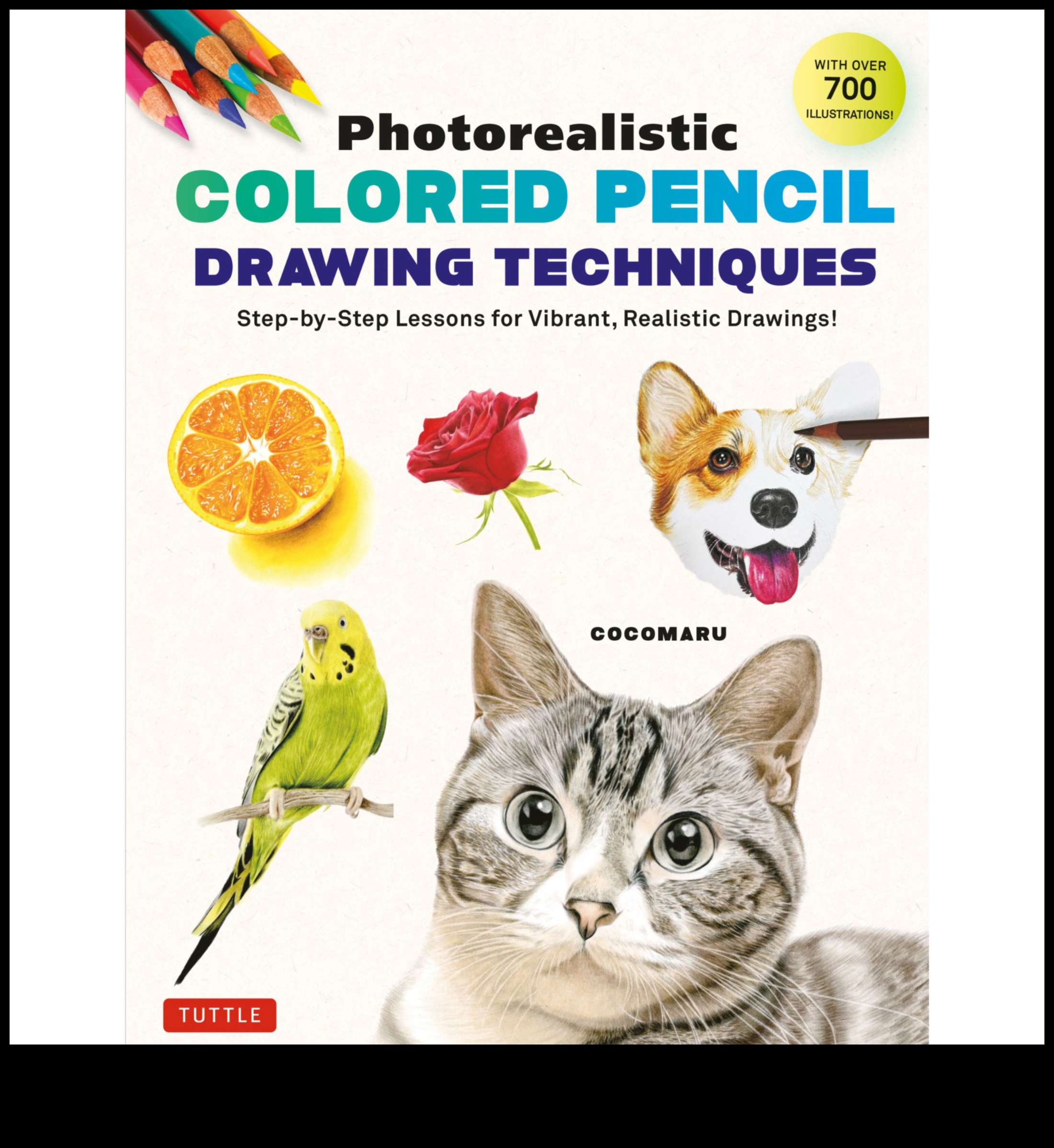 Krāsaino zīmuļu reālisma darbnīca: Profesionālās mākslas paņēmieni