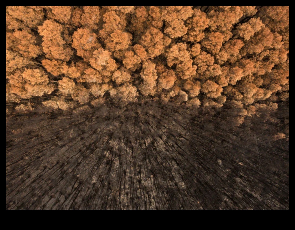 Dabas veidots: Ainavu fotogrāfijas ekstravagants