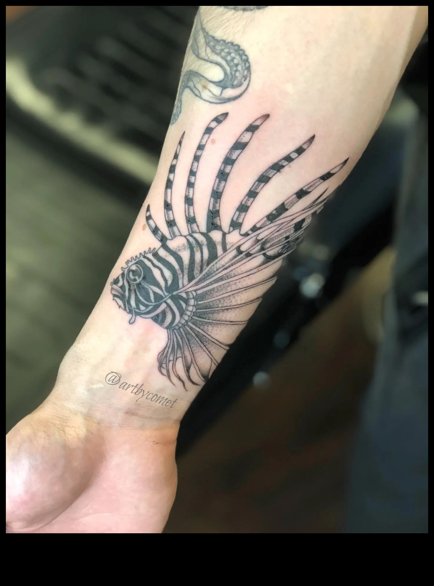 Spuras un spalvas: iedziļinieties ūdensdzīvnieku tetovējumu hronikās