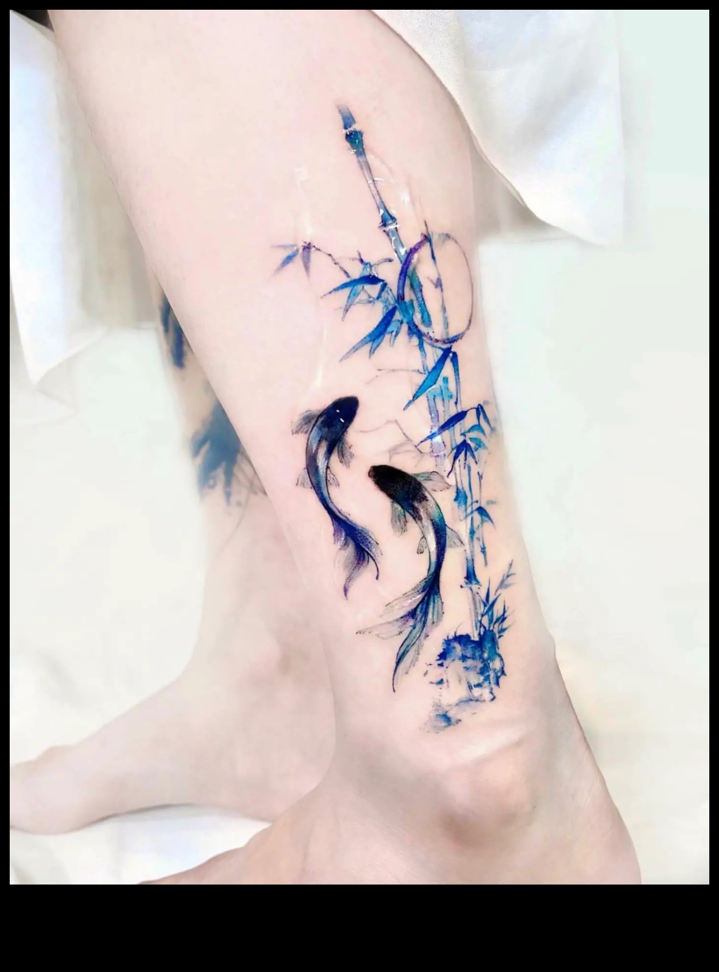 Spuras un spalvas: iedziļinieties ūdensdzīvnieku tetovējumu hronikās