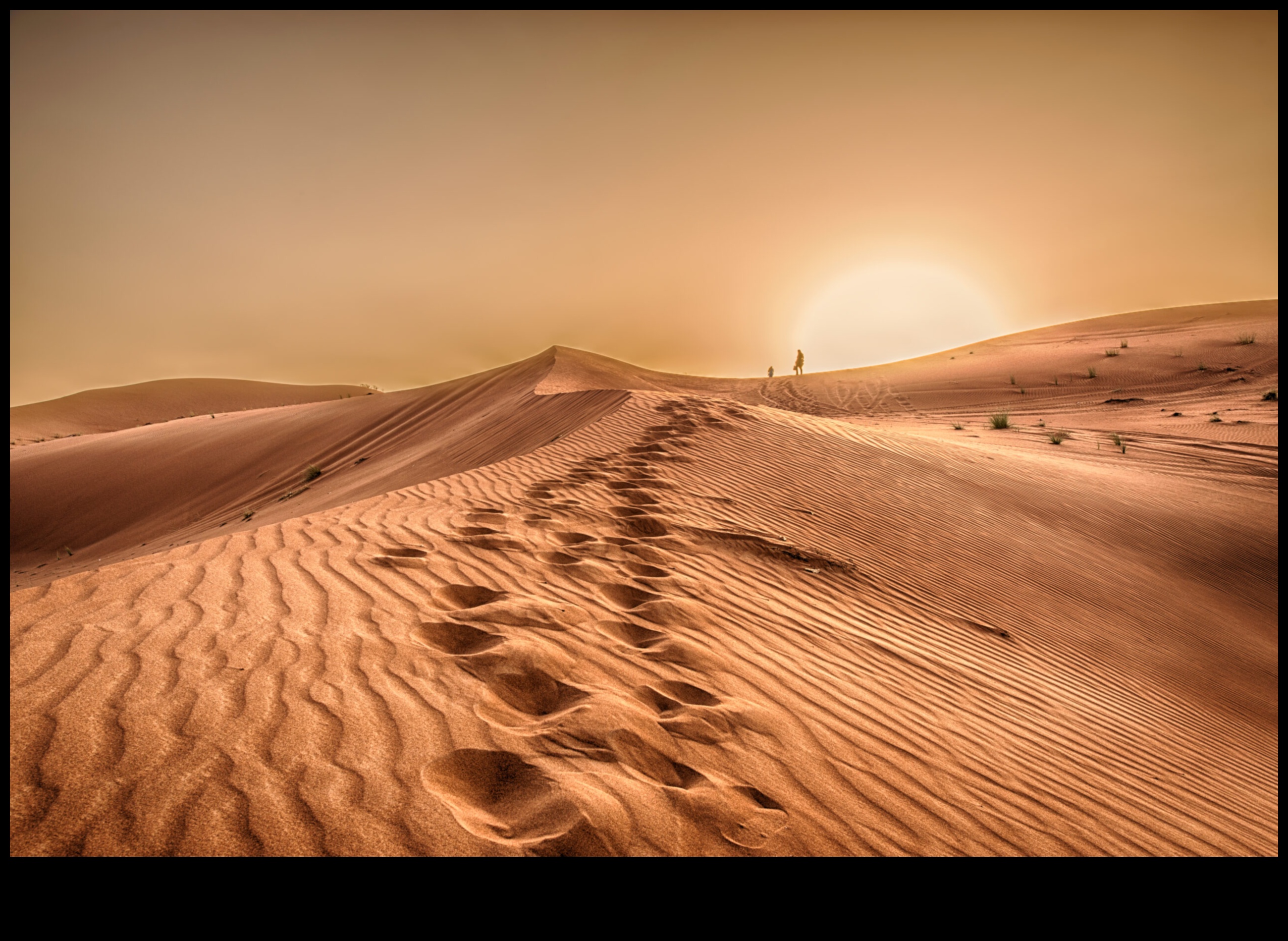 Tuksneša ainavu valdzinājums