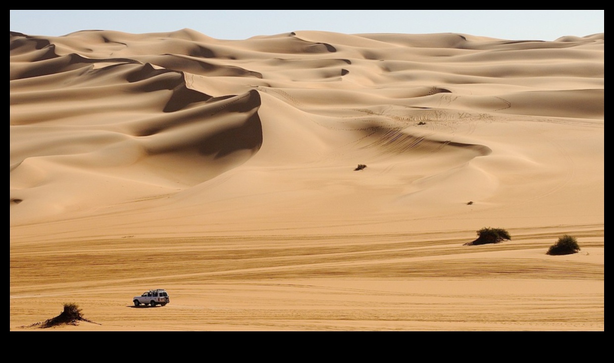 Tuksneša ainavu valdzinājums