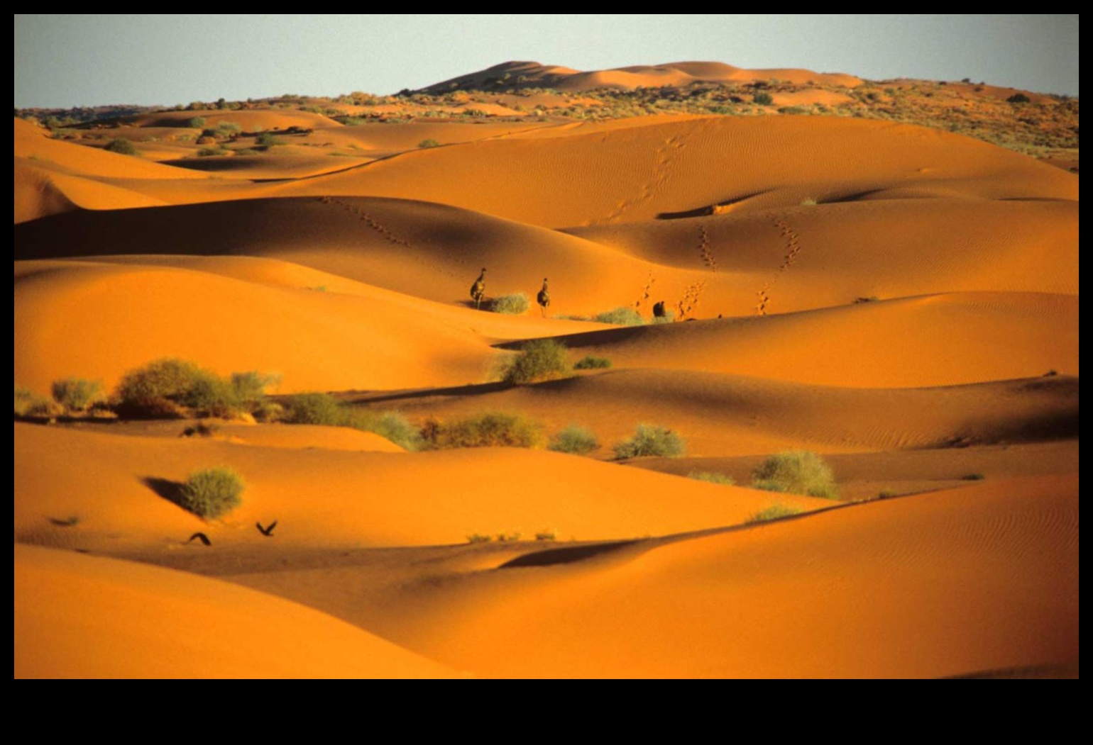 Tuksneša ainavu valdzinājums