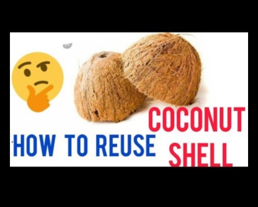 DIY Coconut Revolution: Atbrīvojiet savu radošumu tropu veidošanā