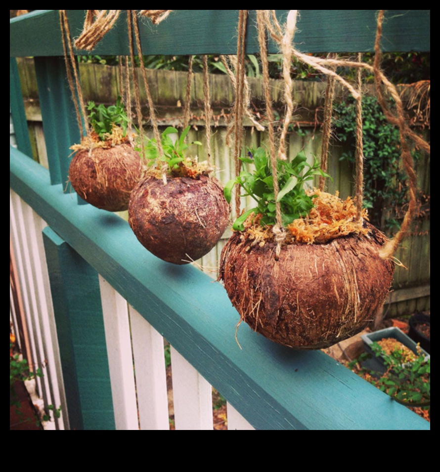 DIY Coconut Revolution: Atbrīvojiet savu radošumu tropu veidošanā