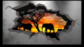 3D audekls: kur idejas pārtop vizuālā realitātē