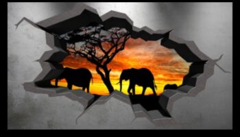 3D audekls: kur idejas pārtop vizuālā realitātē