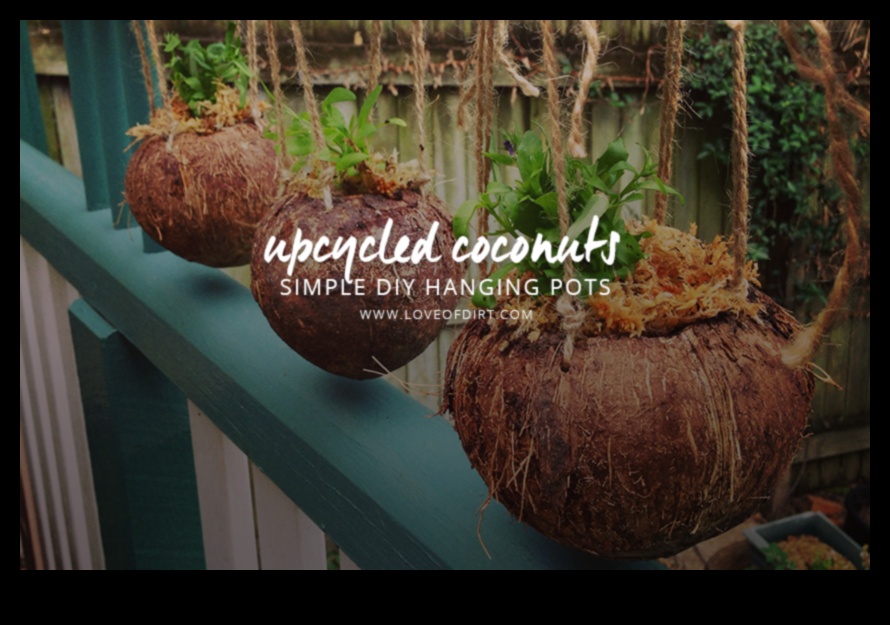 DIY Coconut Revolution: Atbrīvojiet savu radošumu tropu veidošanā