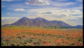 Dabas fotoattēls, tverot dabas visā pasaulē brīnišķīgā lieta par 3 Spožuma sezonas: dabas pārmaiņu skaistuma tveršana