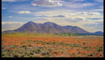 Spožuma sezonas: dabas pārmaiņu skaistuma tveršana