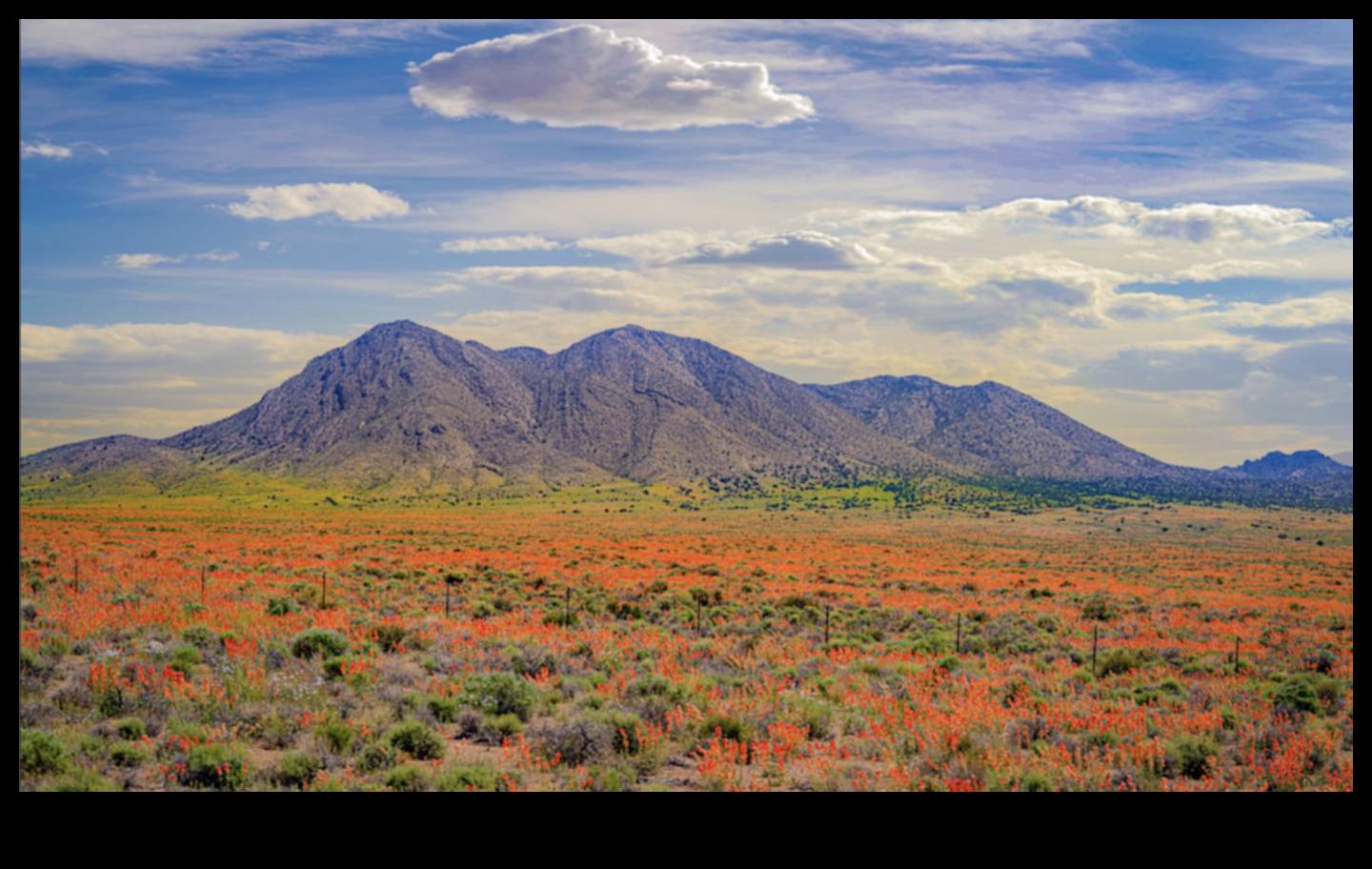 Dabas fotogrāfija, tverot dabas pasaules skaistumu 1 Spožuma sezonas: dabas pārmaiņu skaistuma tveršana