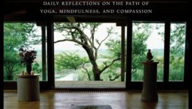 Klusas pārdomas: ienirstiet meditācijā ar šīm svarīgajām grāmatām