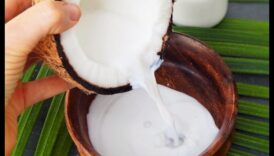 Sip and Share: Izveidojiet kokosriekstu piena pieredzi ar draugiem