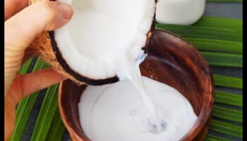 Sip and Share: Izveidojiet kokosriekstu piena pieredzi ar draugiem