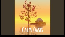 Mierīguma čuksti: visaptveroša meditācija