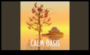 Mierīguma čuksti: visaptveroša meditācija