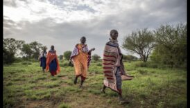 Vietējās un cilšu ainavas: daba kultūras kontekstā