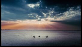 Panorāmas svētlaime: plašas ainavas katrā kadrā