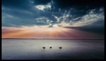 Panorāmas svētlaime: plašas ainavas katrā kadrā