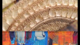 Teksturēti attēli: vizuālas intereses radīšana ar taustāmām detaļām