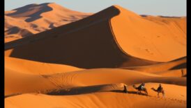 Tuksneši Intensīva un daudzveidīga apkārtne 2 Tuksneša ainavu valdzinājums